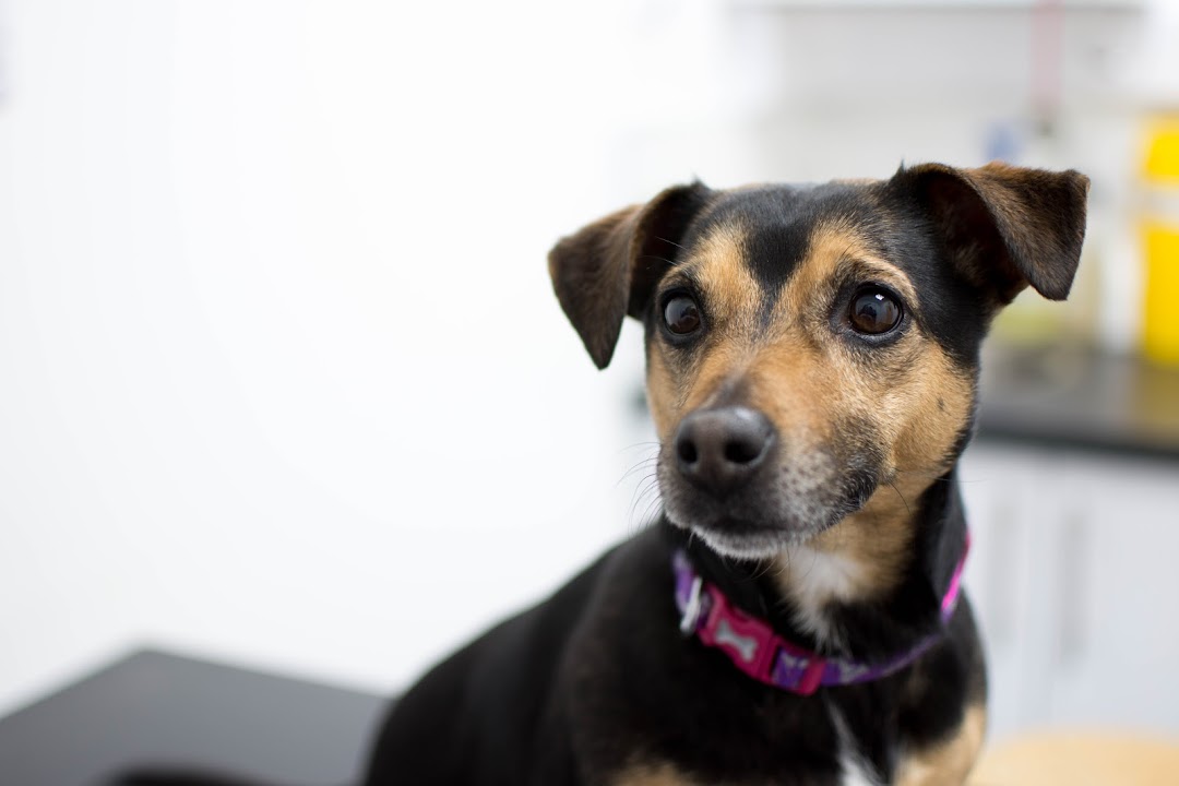 Clontarf Veterinary Clinic
