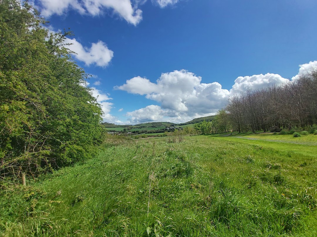 Carrigmeal Woodlands