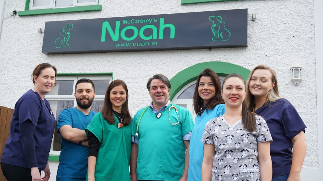 NOAH – Veterinary hospital in Dublin