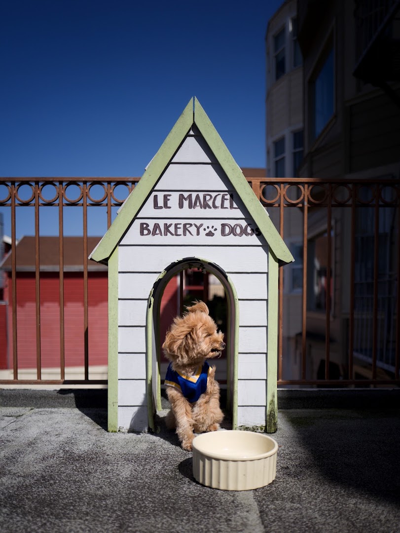 Le Marcel Bakery for Dogs in San Francisco