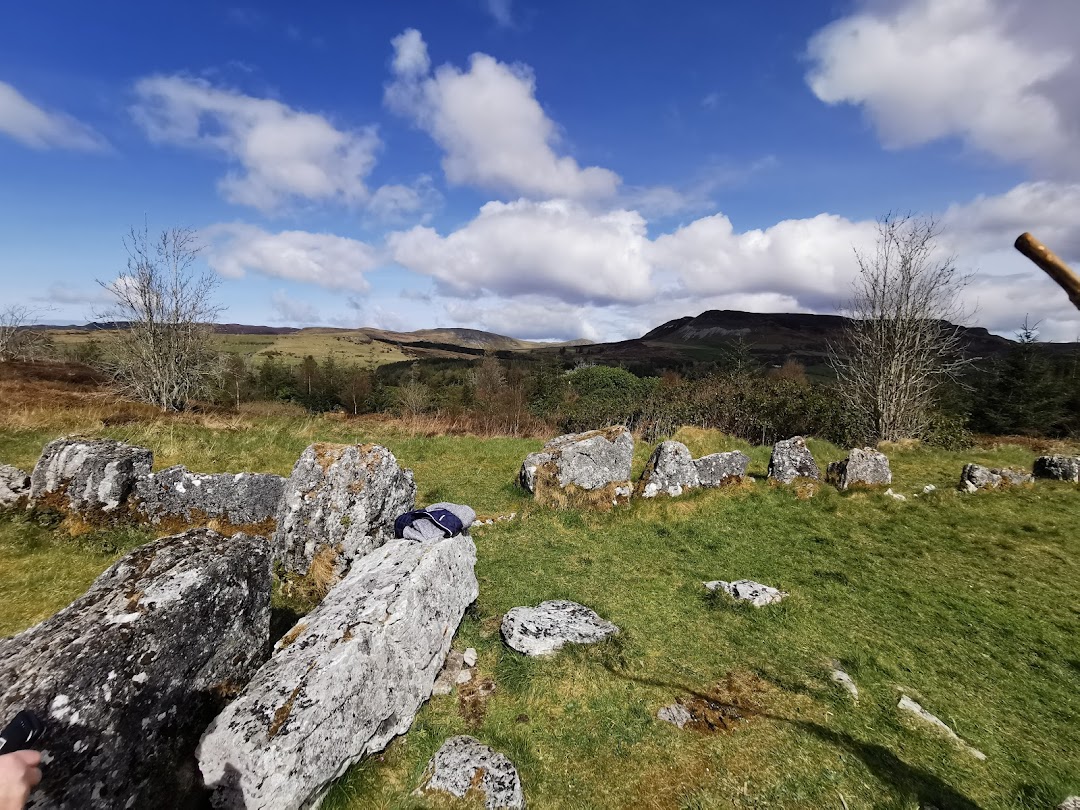 Giant's Grave/Deerpark Forest in Ireland