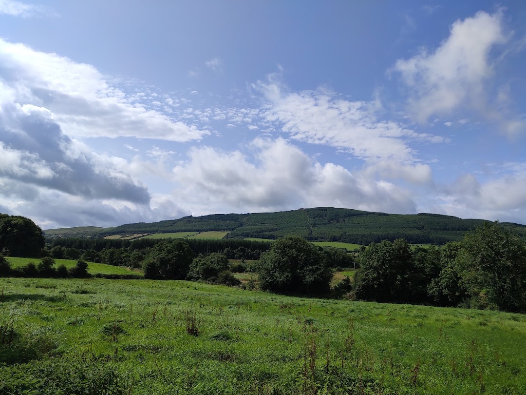 Ballyorgan Looped Walk in Ireland