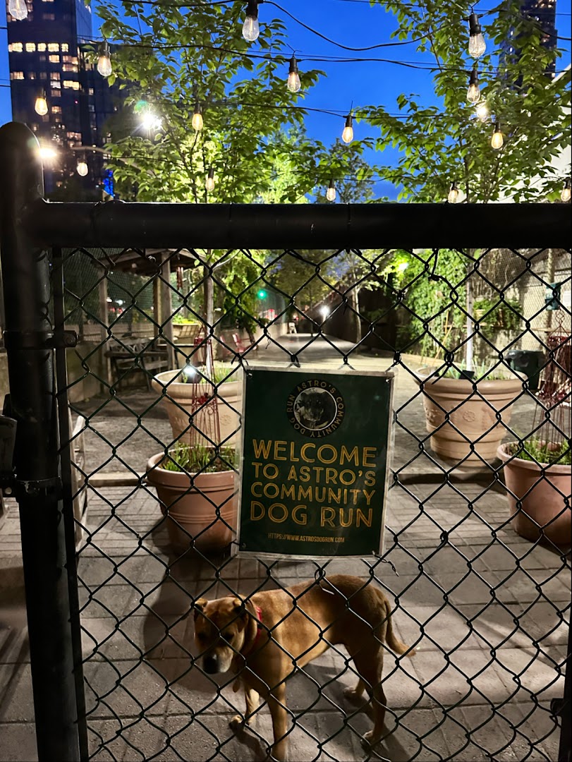 Astro's Community Dog Run in New York
