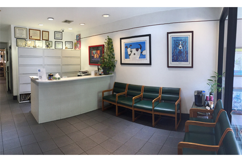 Lenox Hill Veterinarians in New York