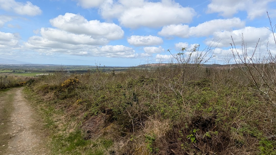 GLANAGEENTY