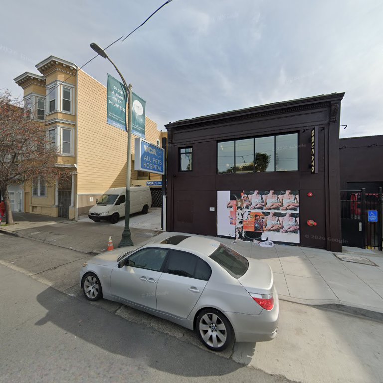 Bar Vered DVM in San Francisco