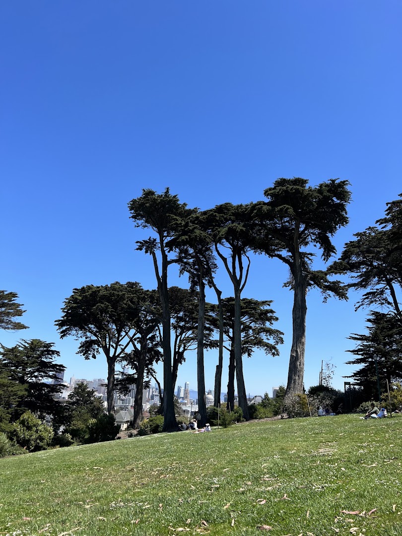 Alamo Square Dog Play Area in San Francisco
