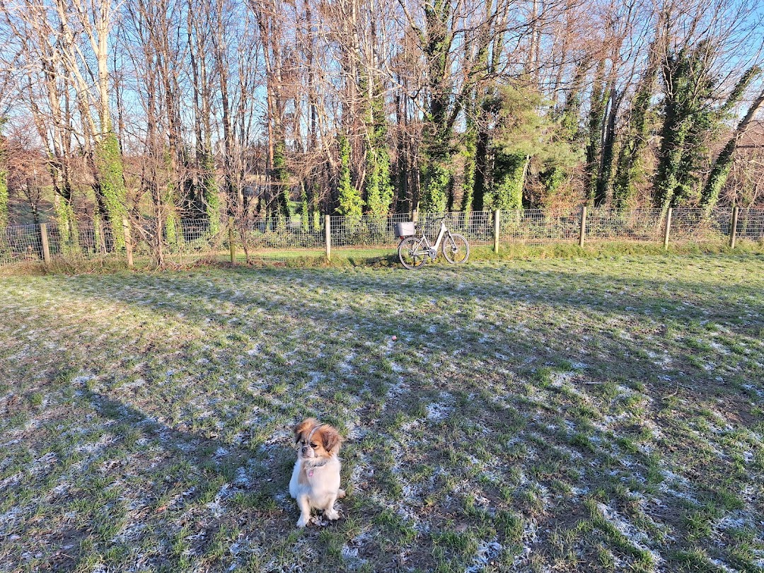 Cabinteely Dog Park in Dublin