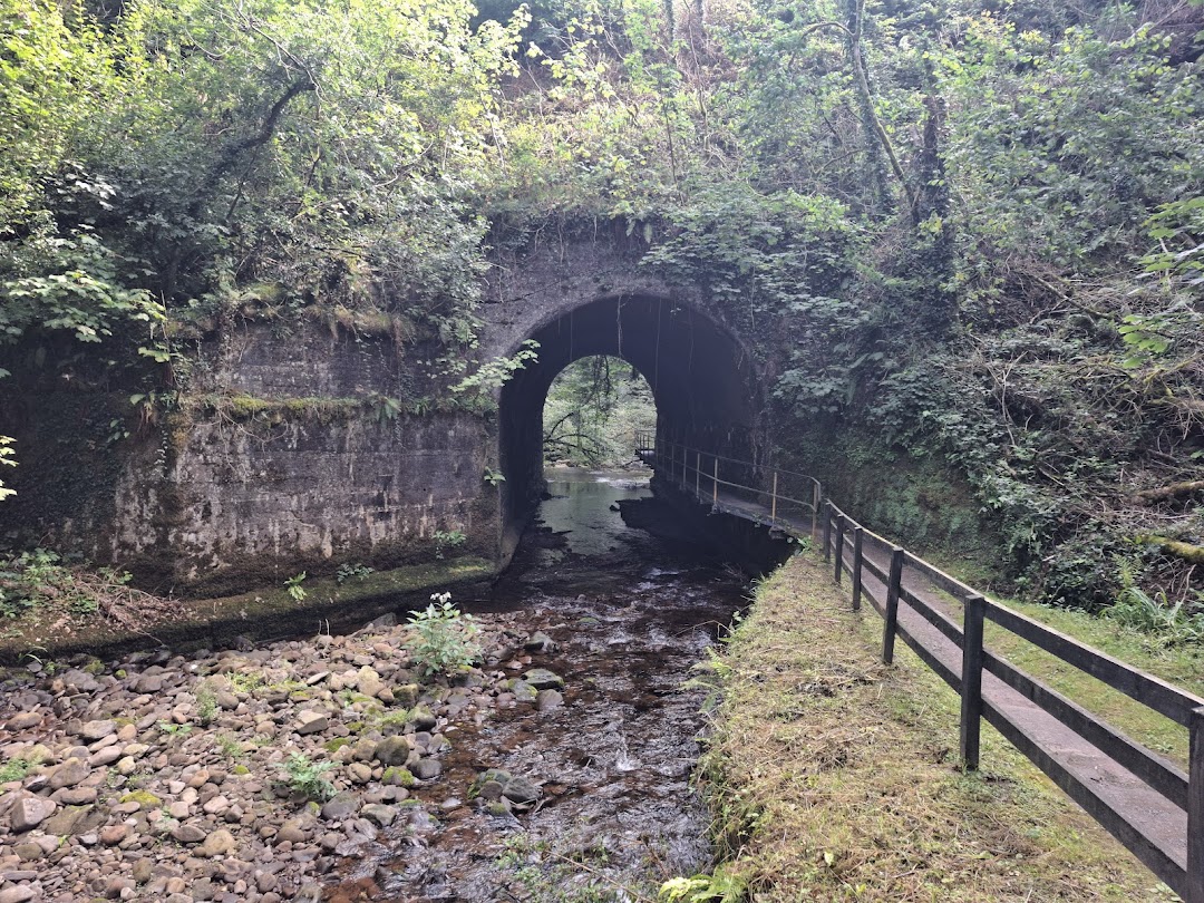 Glenshelane river walk in Ireland