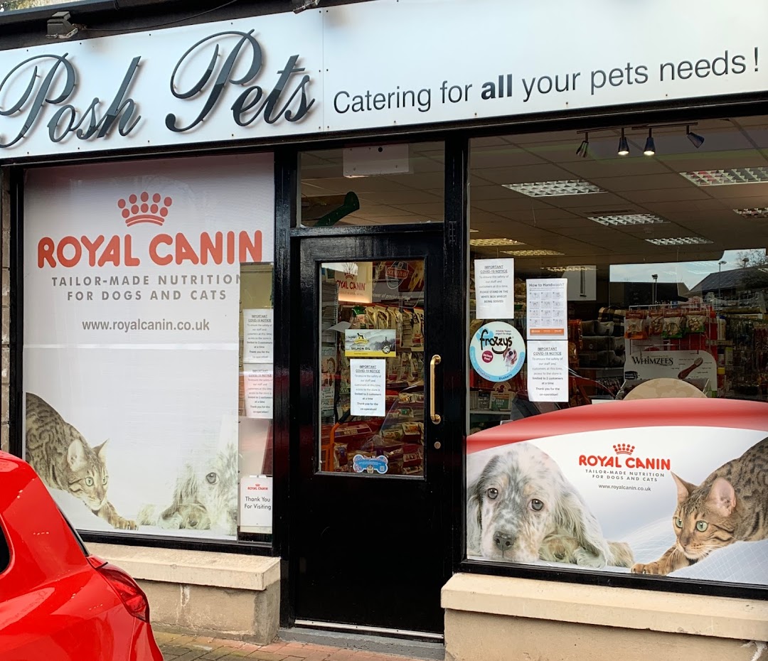 Posh Pets in Belfast