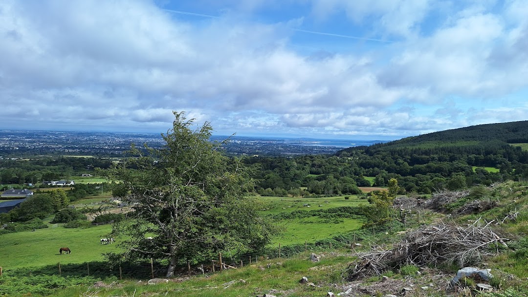 Cruagh woods Trails in Ireland