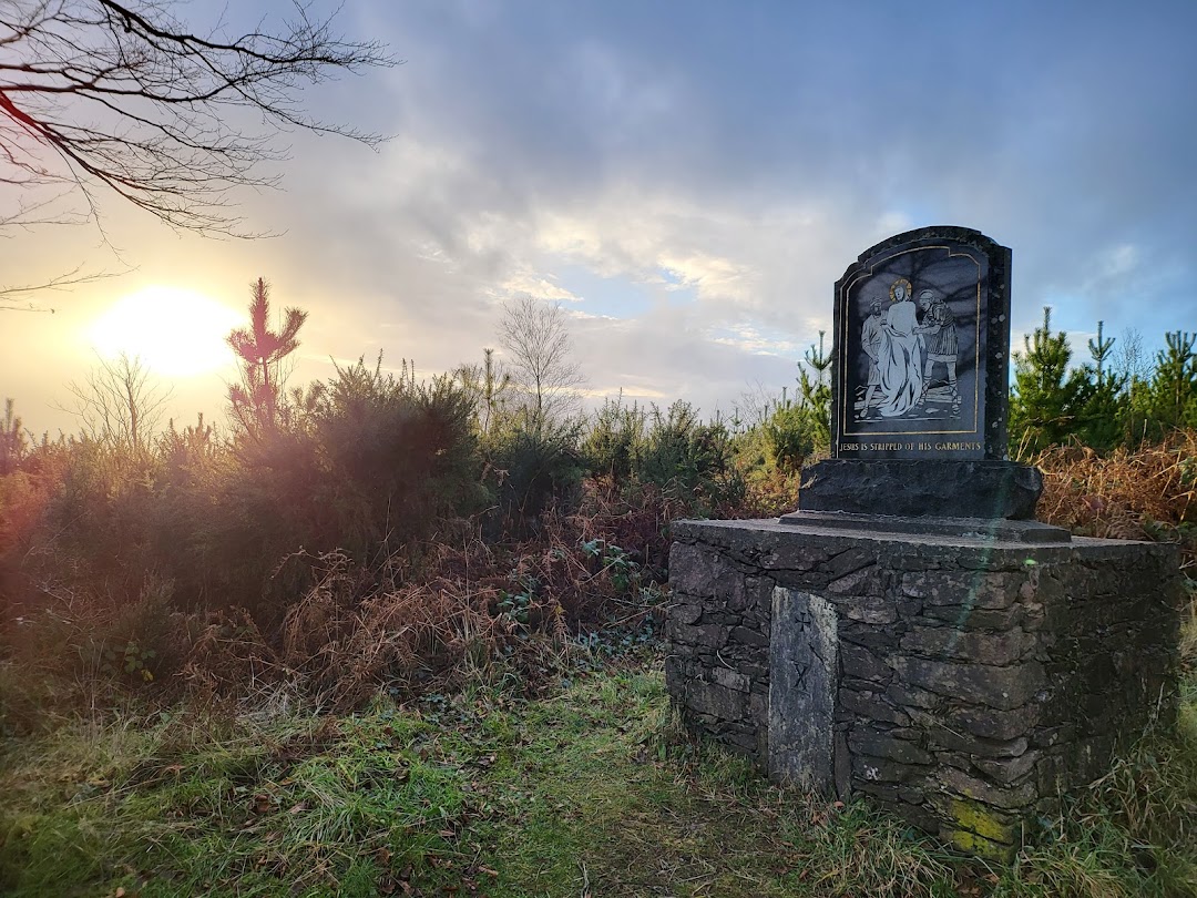 Corrin Wood Forest Recreational Area in Cork