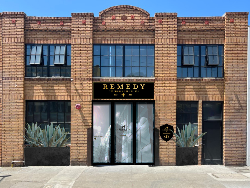 Remedy Veterinary Specialists in San Francisco
