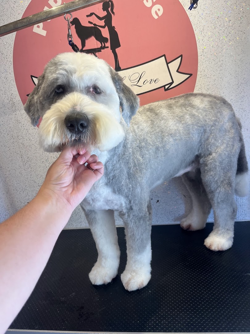 Pups Paradise Grooming