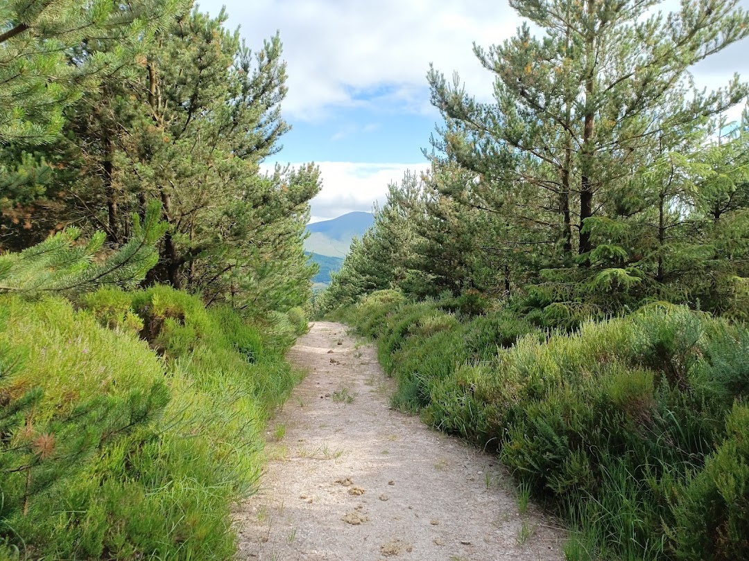 Glen Of Aherlow Forest Recreational Area