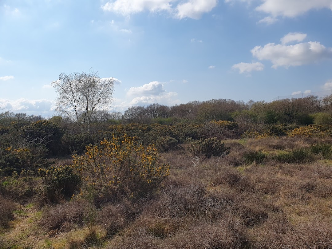 Hounslow Heath (Hounslow) in United Kingdom