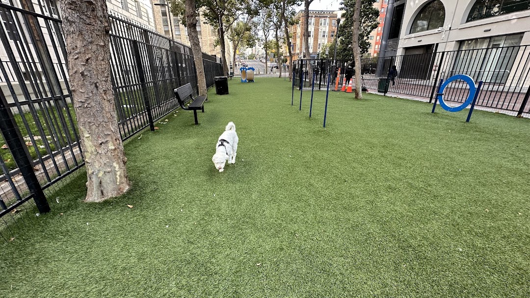 U.N. Plaza Dog Park in San Francisco