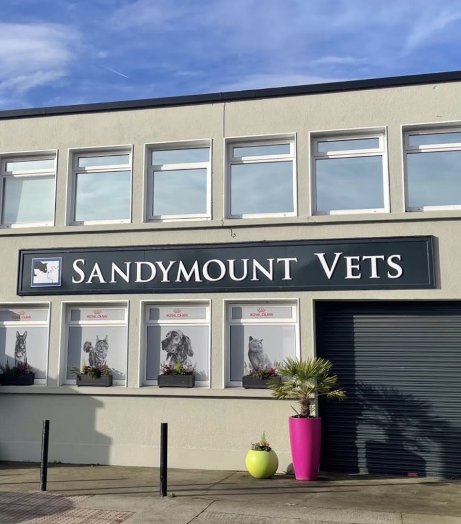 Sandymount Vets in Dublin