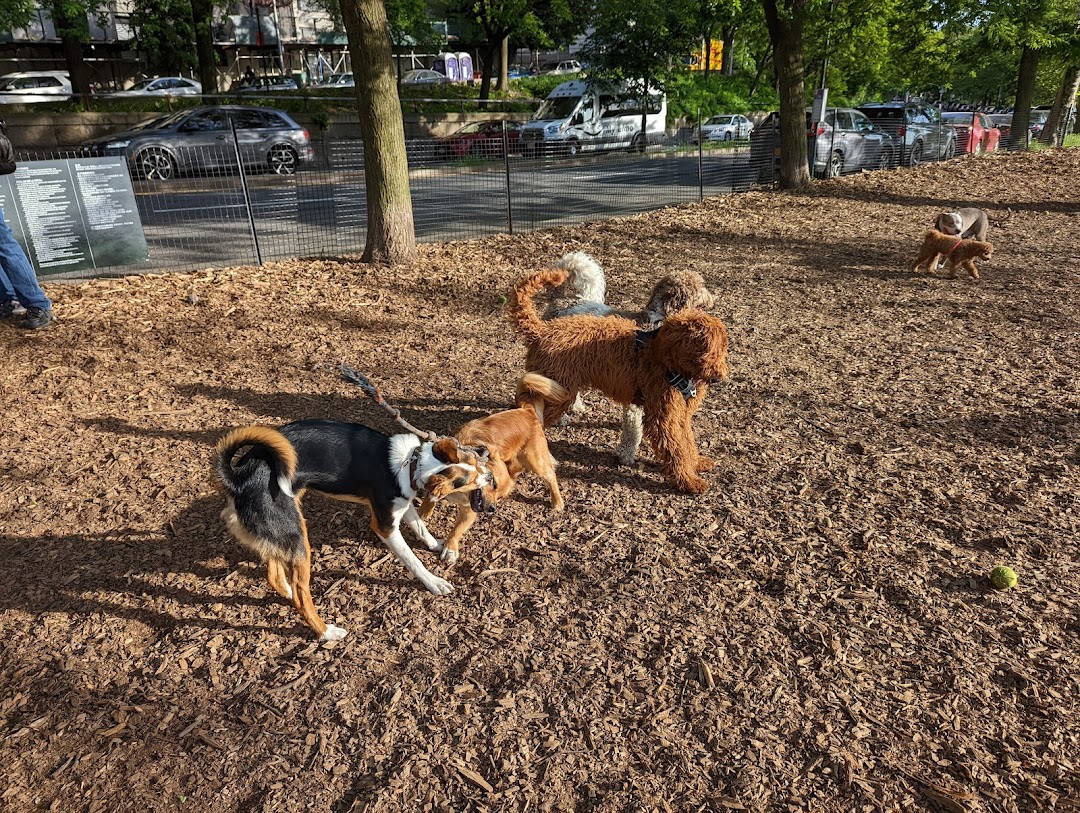 142nd Street Dog Run 🐕 in New York