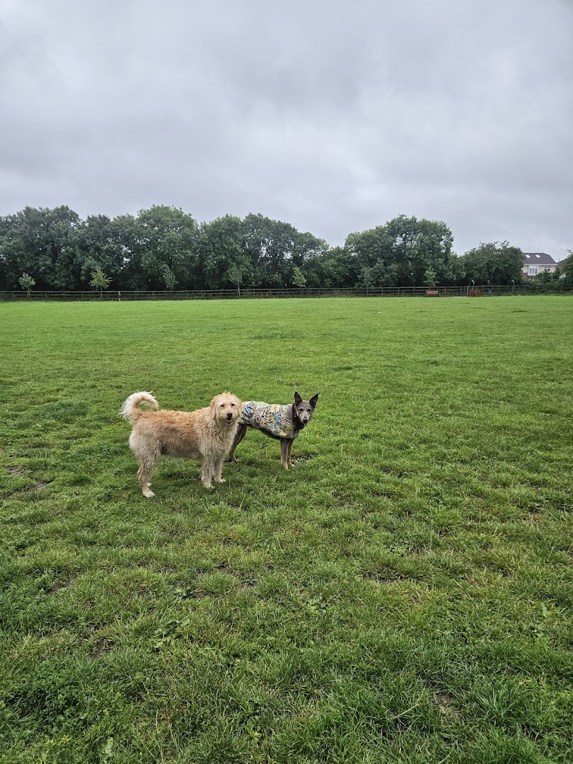 Dog Run Park Griffeen Valley in Dublin