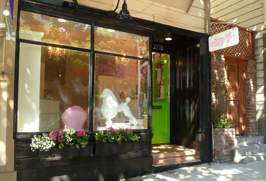 Russian Hill Dog Grooming in San Francisco