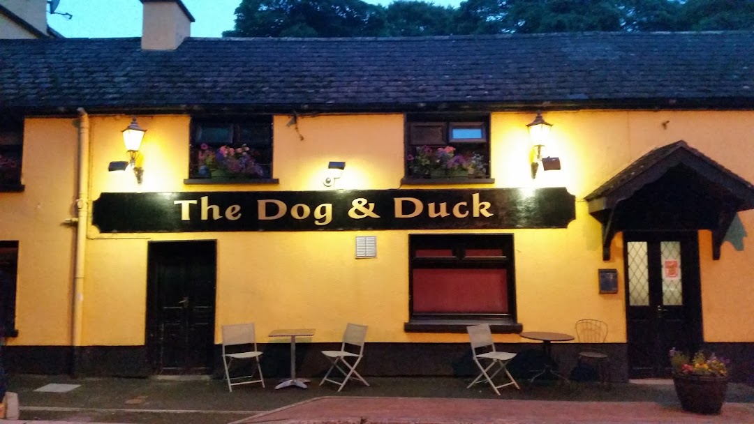 The Dog & Duck Pub in Ireland