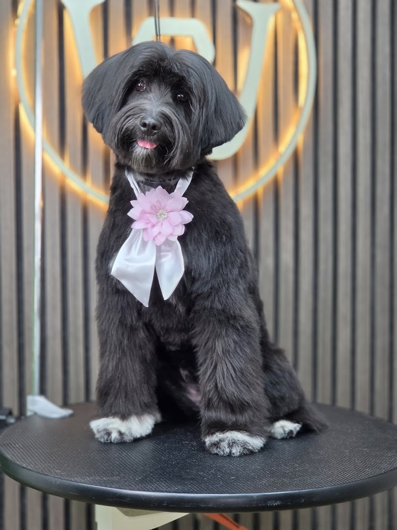 WoofGlam in Dublin