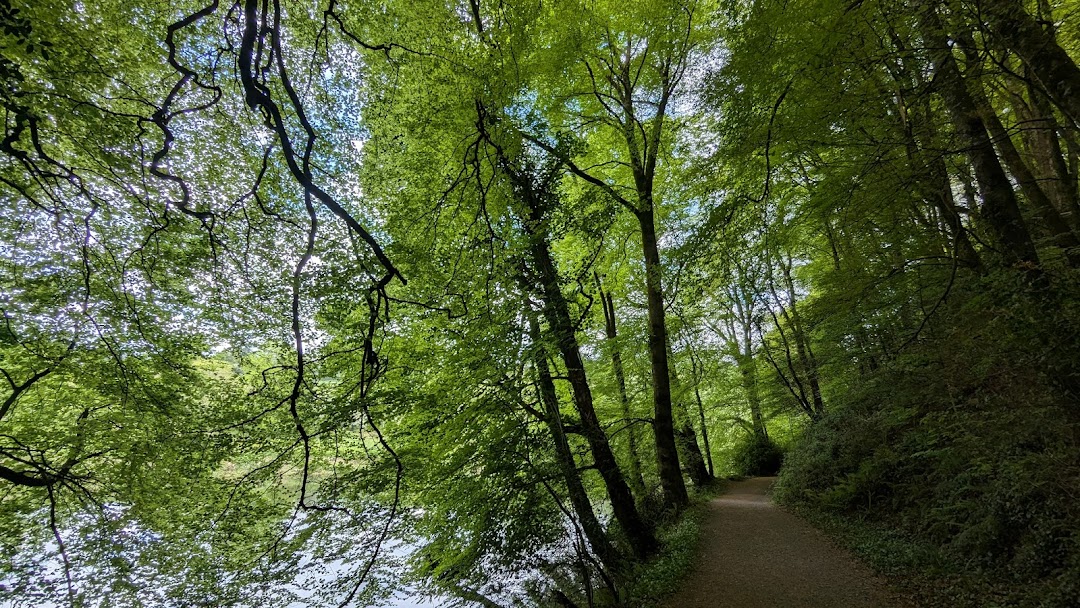 Woodstock Loop Walks Trailhead