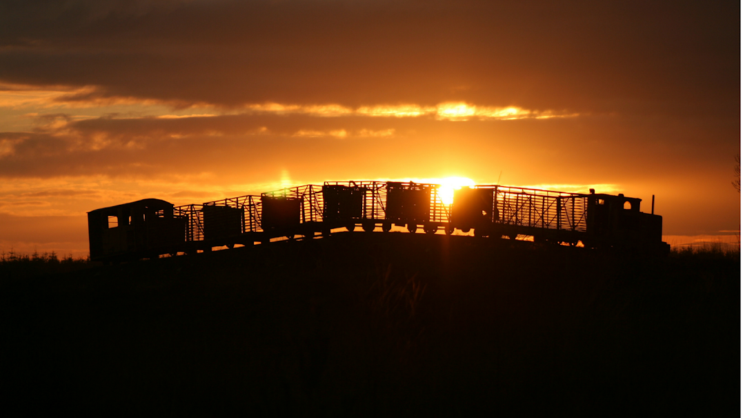 Lough Boora Discovery Park
