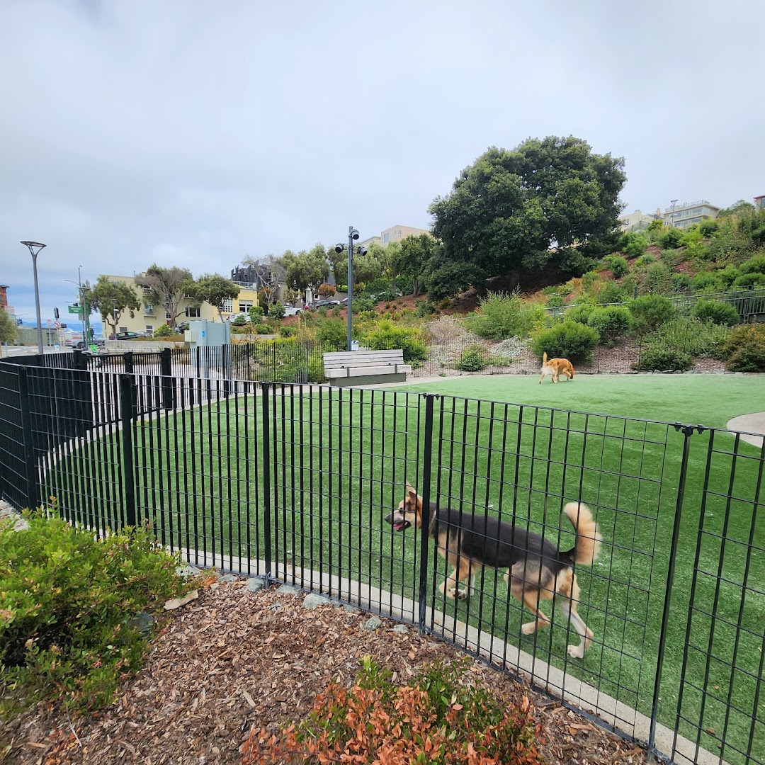 Pepi's Dog Play Area in San Francisco