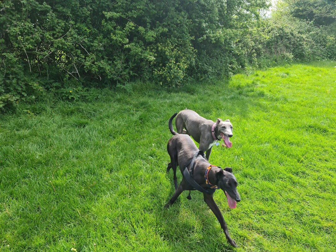 Shanganagh Dog Park