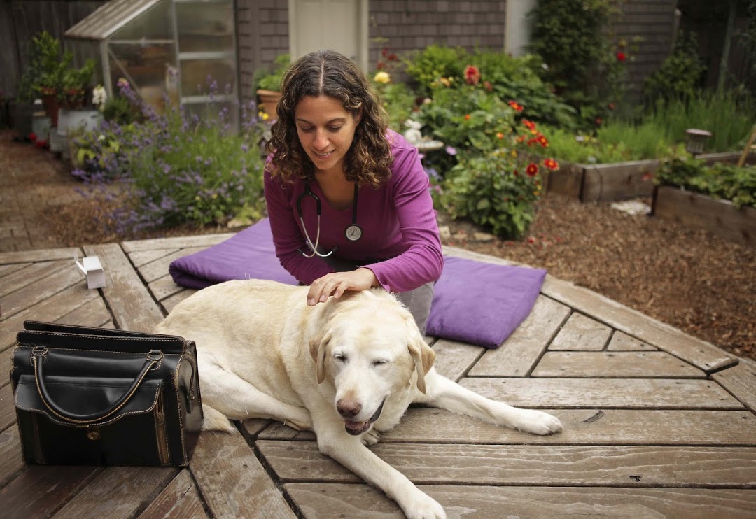 Lotus Veterinary House Calls