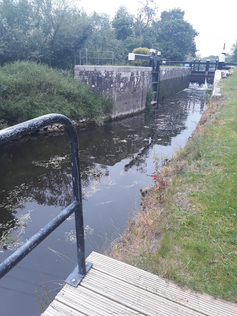 Wildlife Sanctuary, Muine Bheag in Ireland