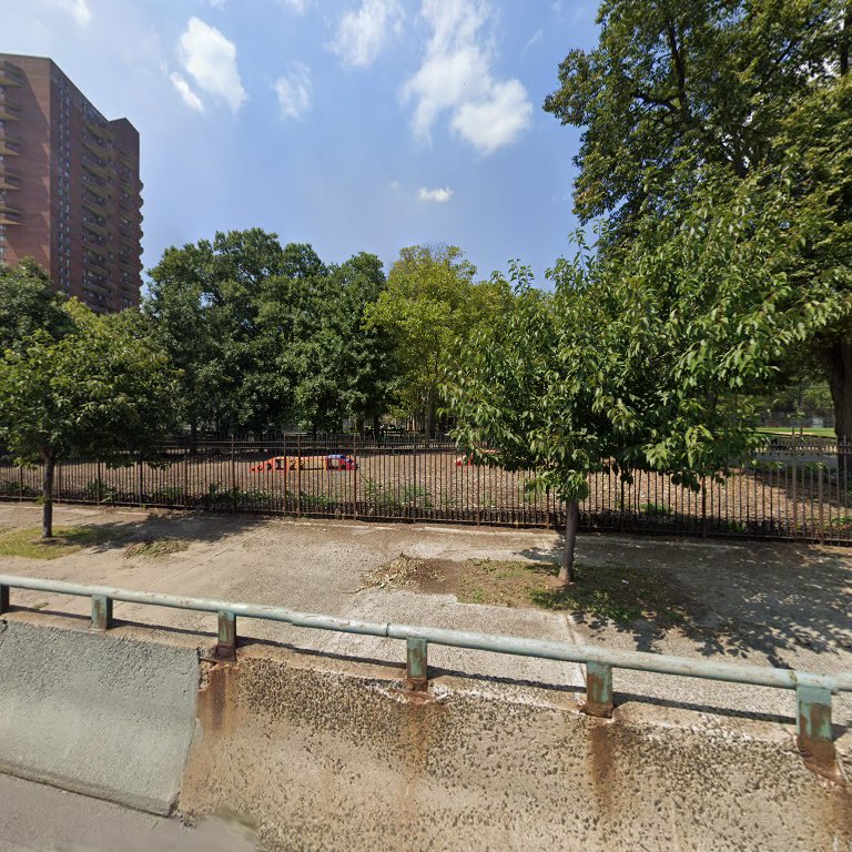 Dog Park in New York