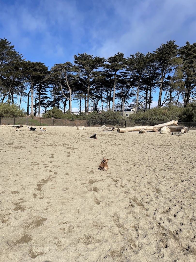 Golden Gate Park Dog Training Area in San Francisco
