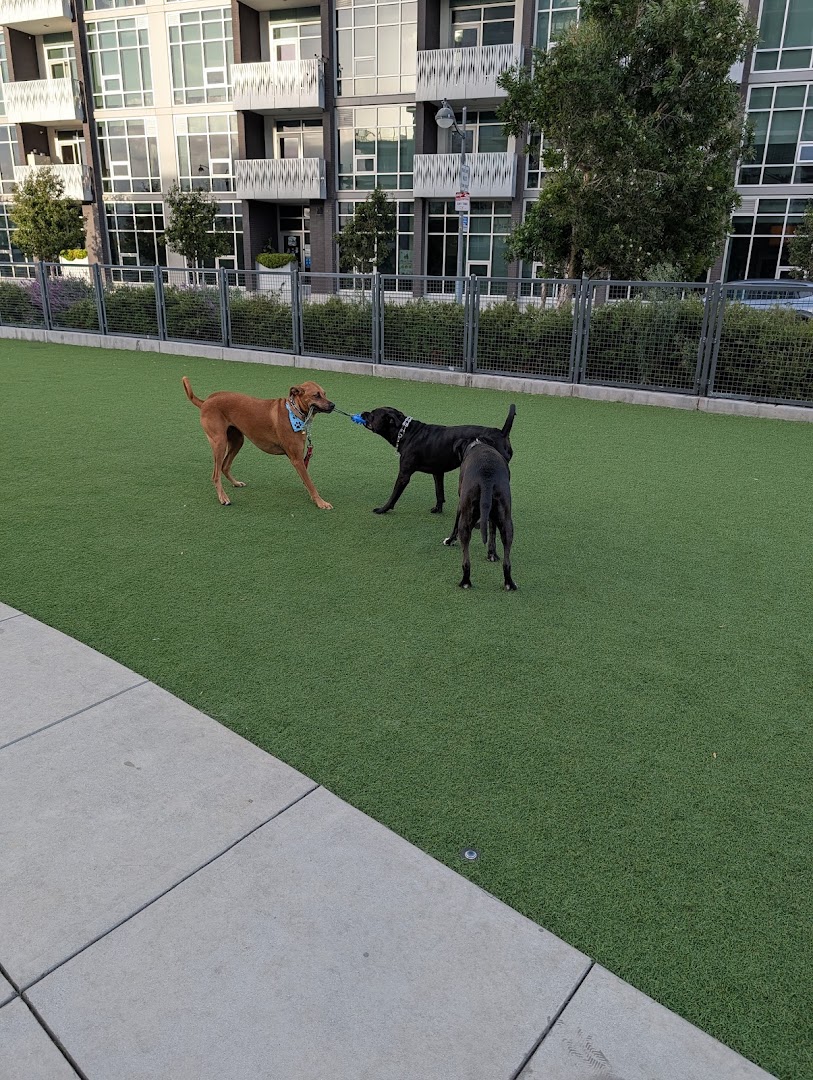 Channel Street Dog Park in San Francisco
