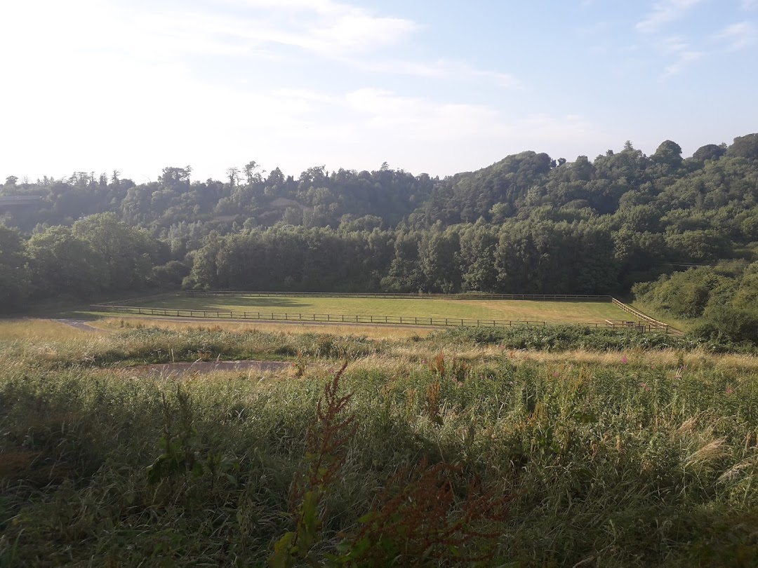 Waterstown Dog Park in Dublin