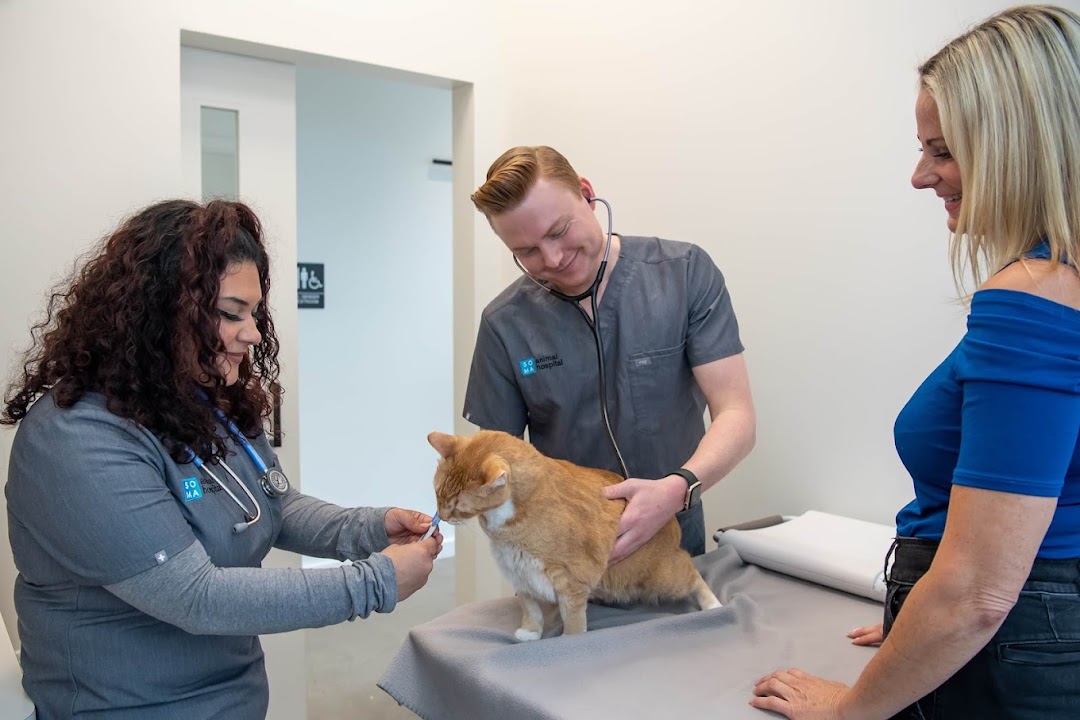 SoMa Animal Hospital in San Francisco