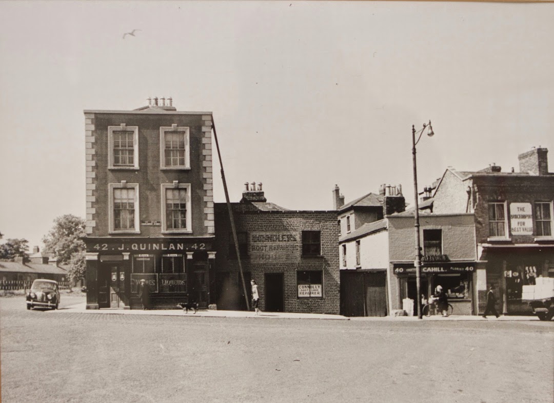 Village Vets Charlemont Street (Animal Welfare Veterinary Clinic) in Dublin