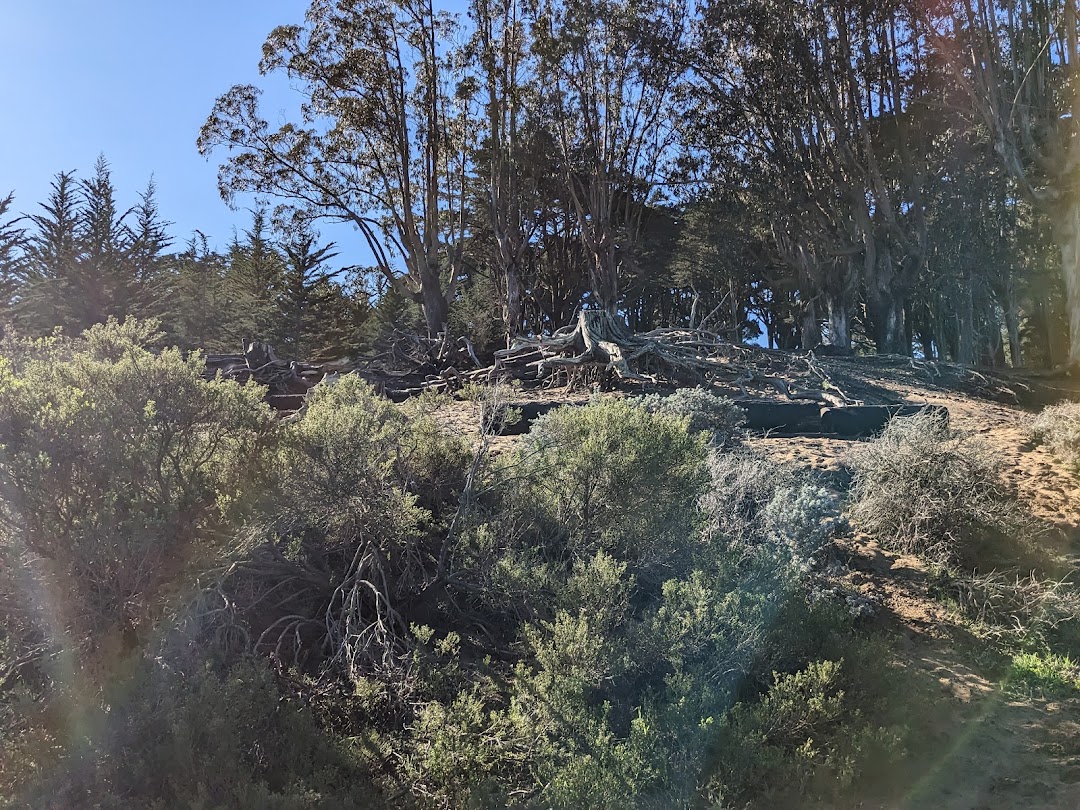 Ecology Trail in San Francisco