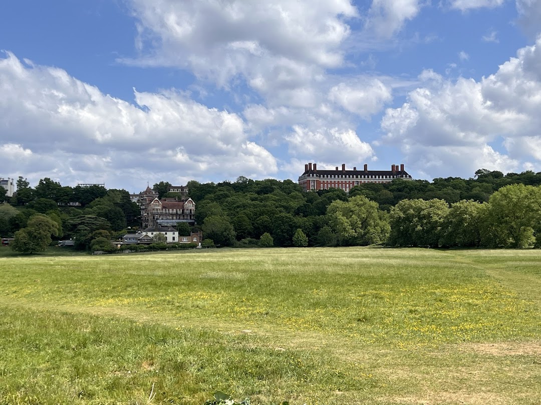Petersham Meadows in United Kingdom