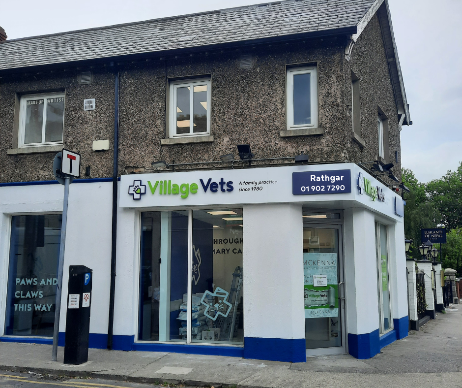 Village Vets Rathgar in Dublin