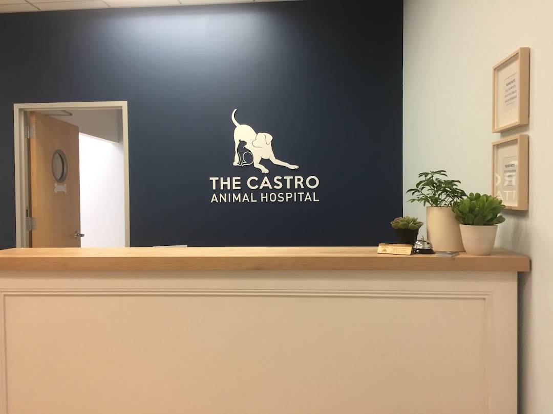 The Castro Animal Hospital in San Francisco