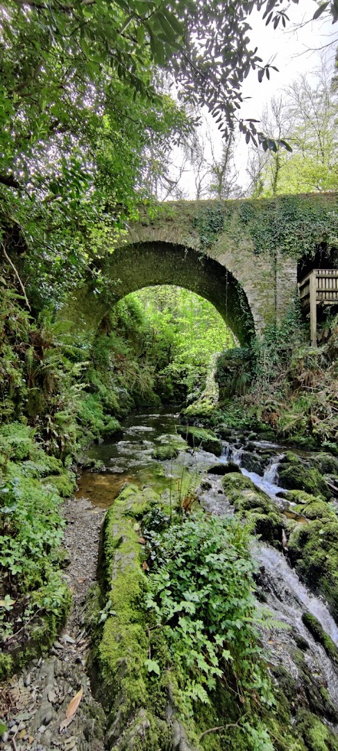 Dún a Rí Forest Park in Ireland