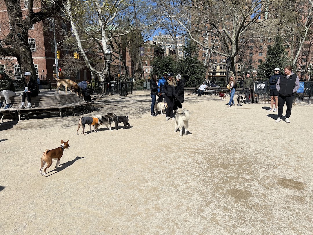 Washington Square Park Dog Run in New York