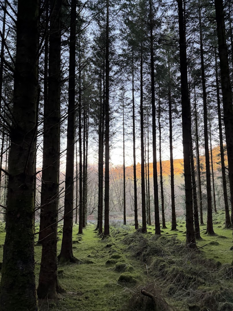 Glenafelly Forest Recreation Area