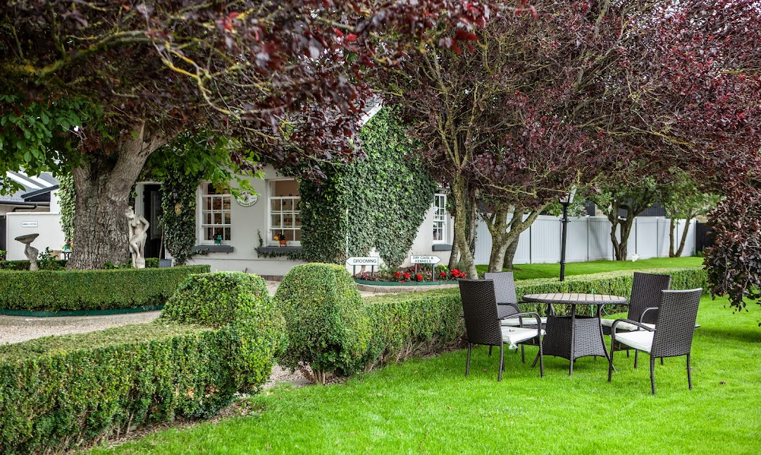 Top Dogs Canine Centre in Dublin