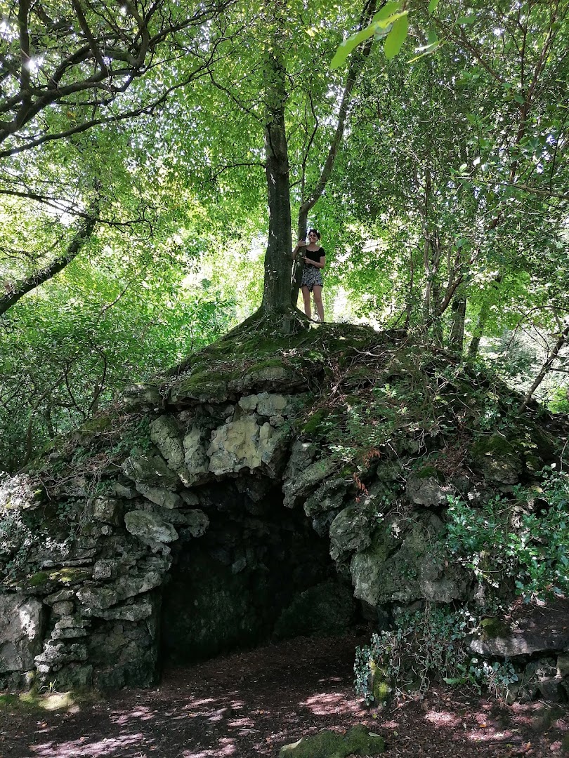 Hazelwood Forest