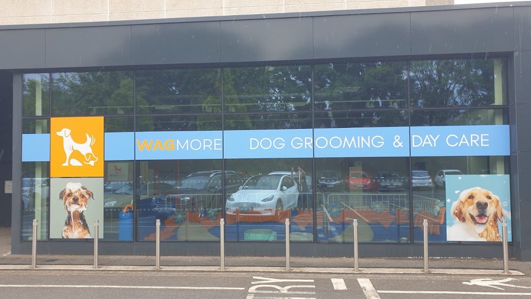 WagMore - Dog Grooming and Daycare