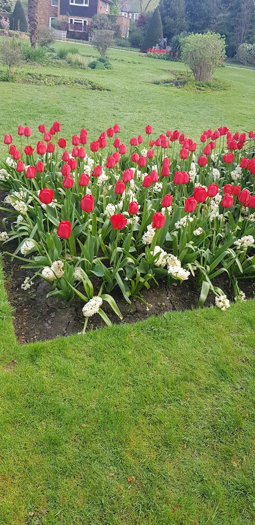 Queen's Park in London